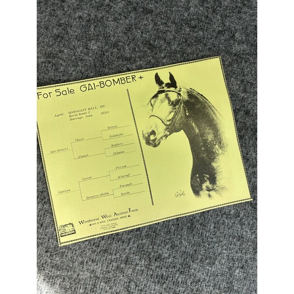 Vintage Windhorse West Arabian Farm Gai-Bomber+ Horse Pedigree Sales Brochure
